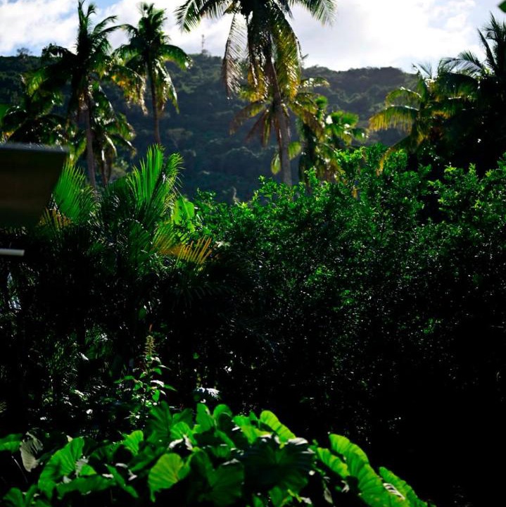 Photo of Others in Yageta Island