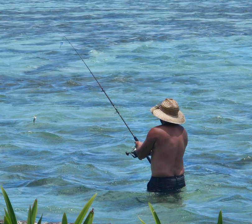 Photo of Others in Moorea-Maiao