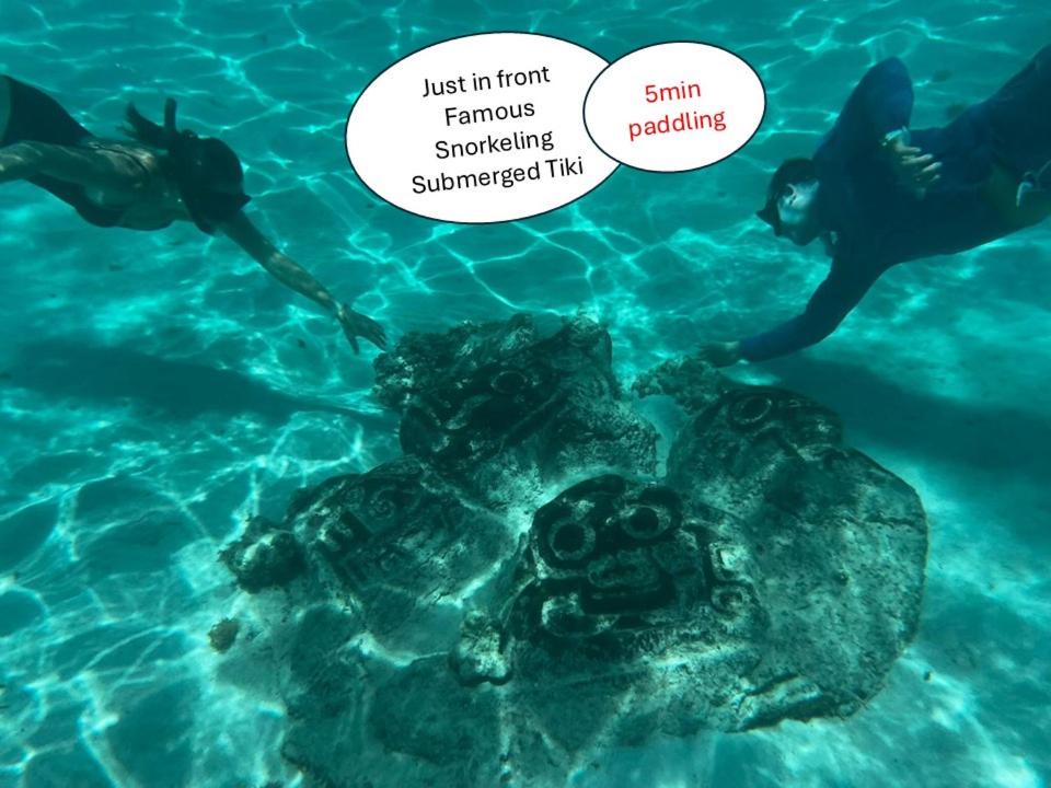 Photo of Others in Moorea-Maiao
