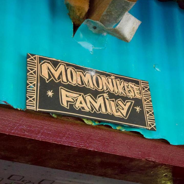 Photo of Others in Naviti Island