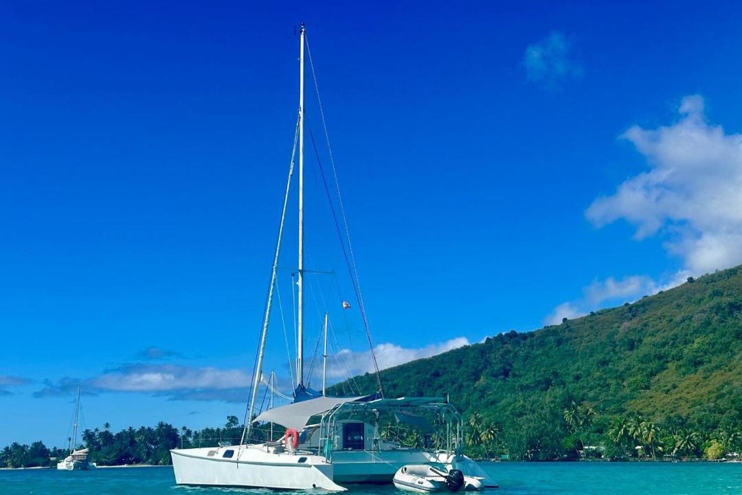 Photo of Others in Pihaena