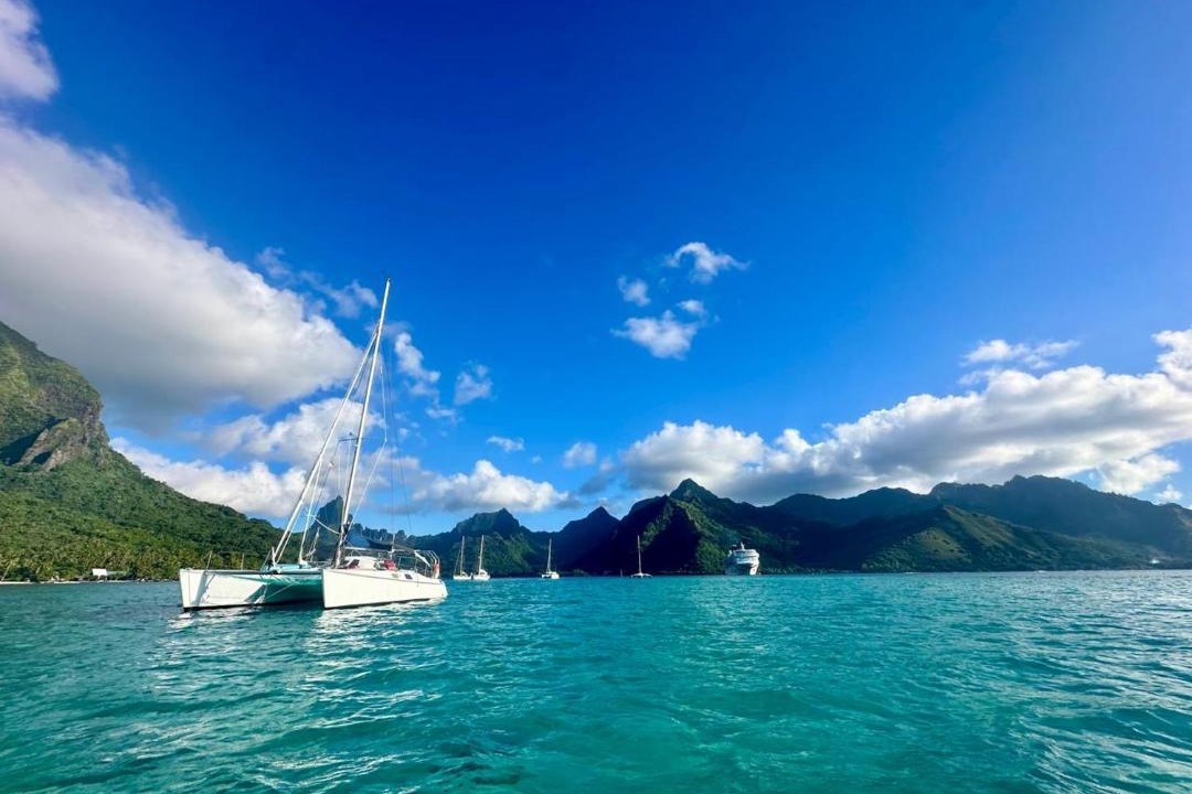 Photo of Others in Pihaena