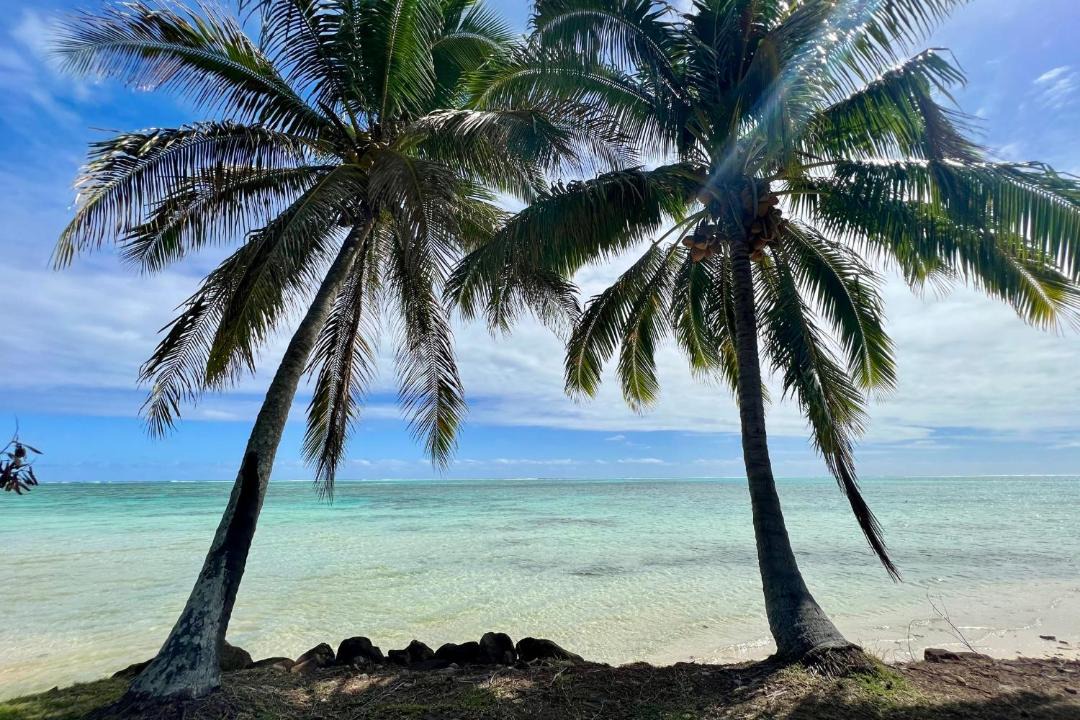 Photo of Others in Moorea-Maiao