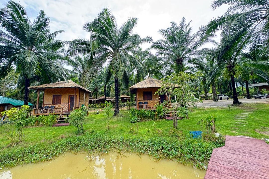 Photo of Others in Ban Ta Khun