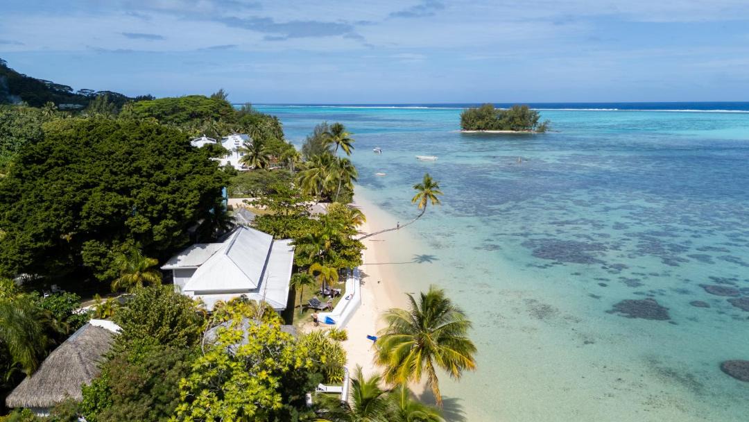 Photo of Others in Moorea-Maiao