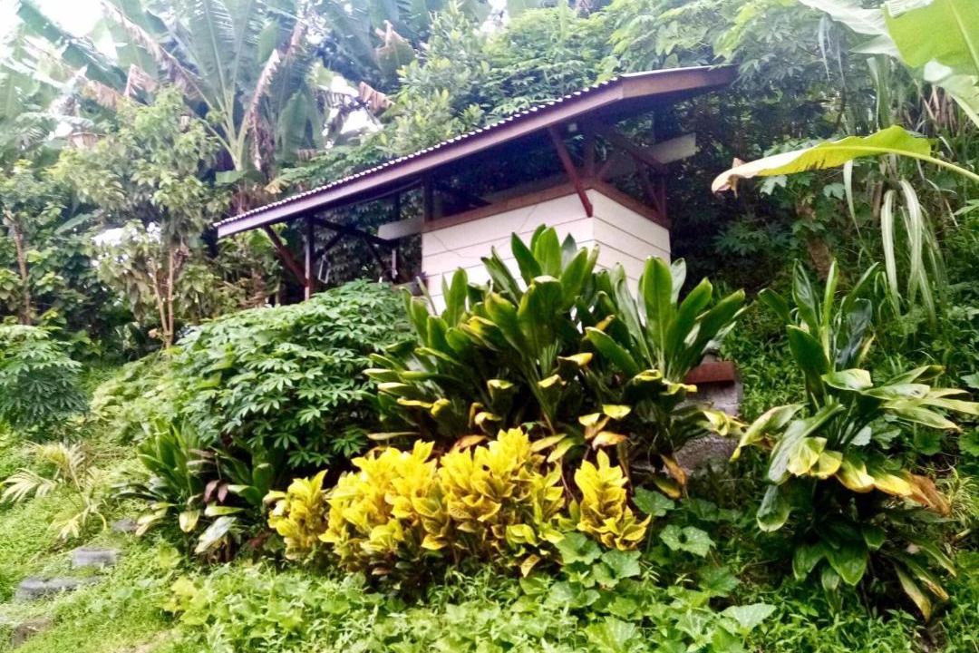 Photo of Others in Afaahiti