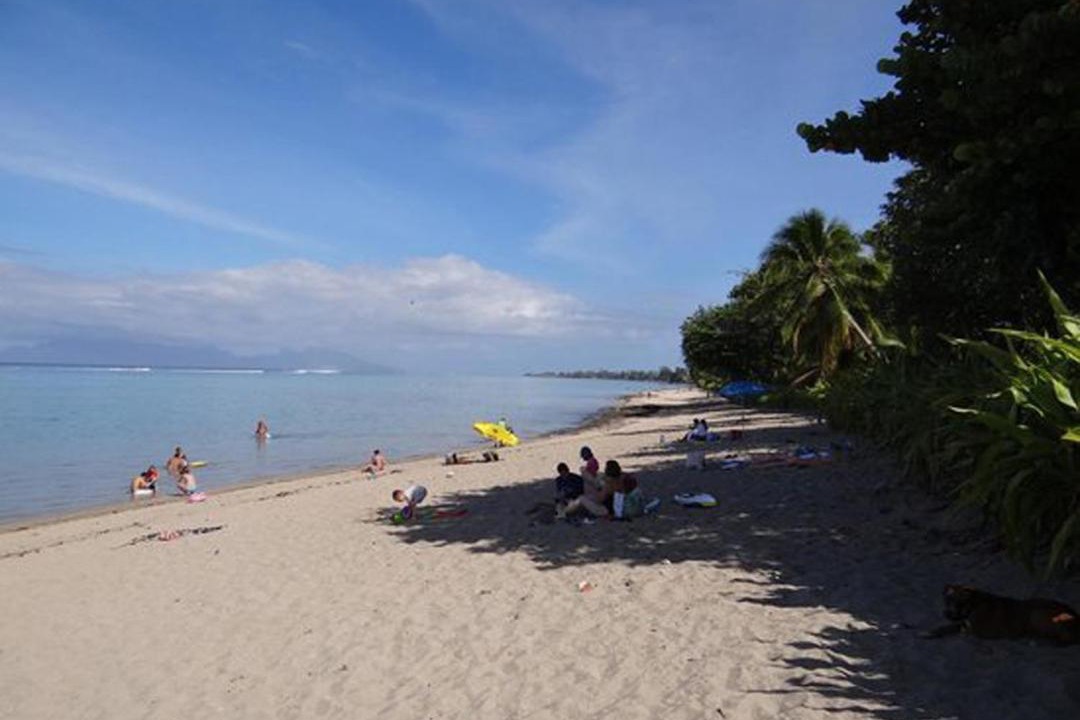 Photo of Others in Paea