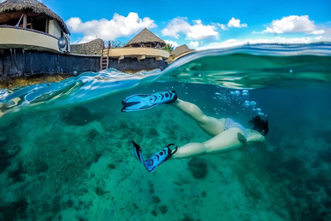 Photo of Others in Savusavu