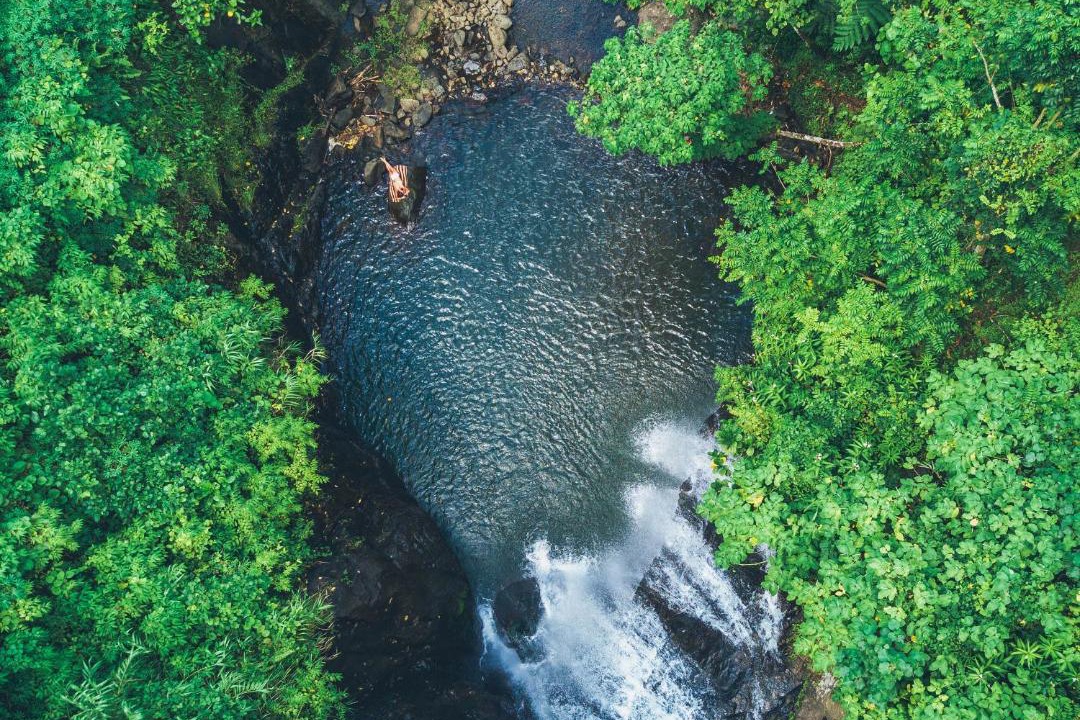 Photo of Others in Savusavu