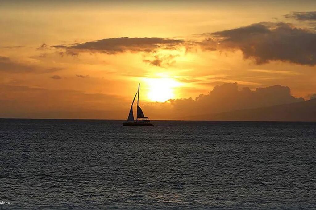 Photo of Others in Wailea