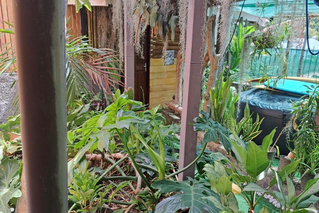 Photo of Others in Punaauia