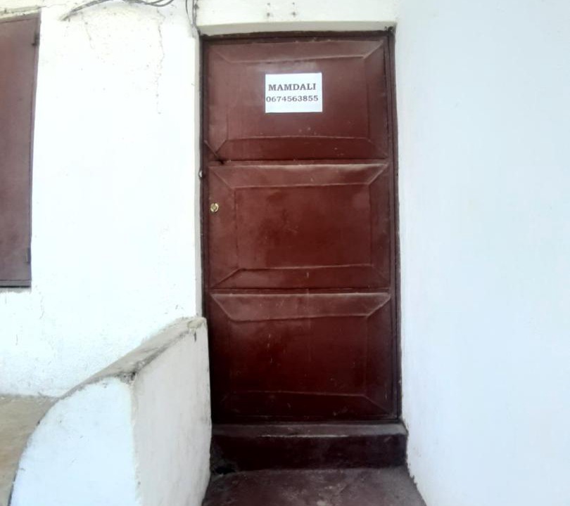 Photo of Others in Stone Town