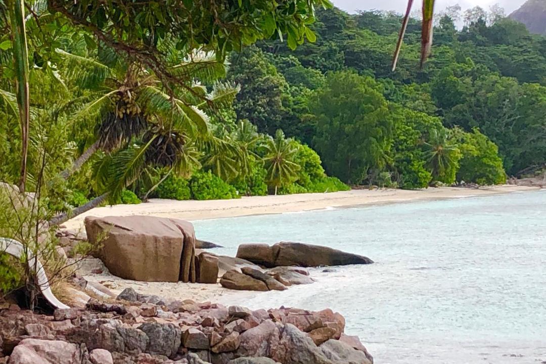 Photo of Others in Praslin Island