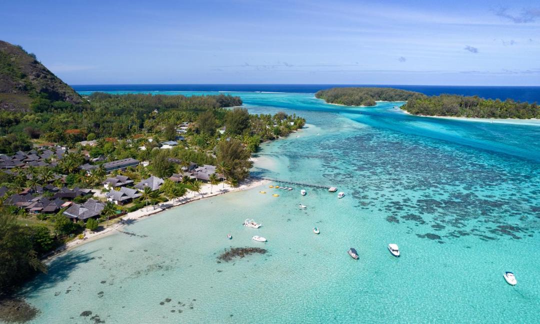 Photo of Others in Moorea-Maiao