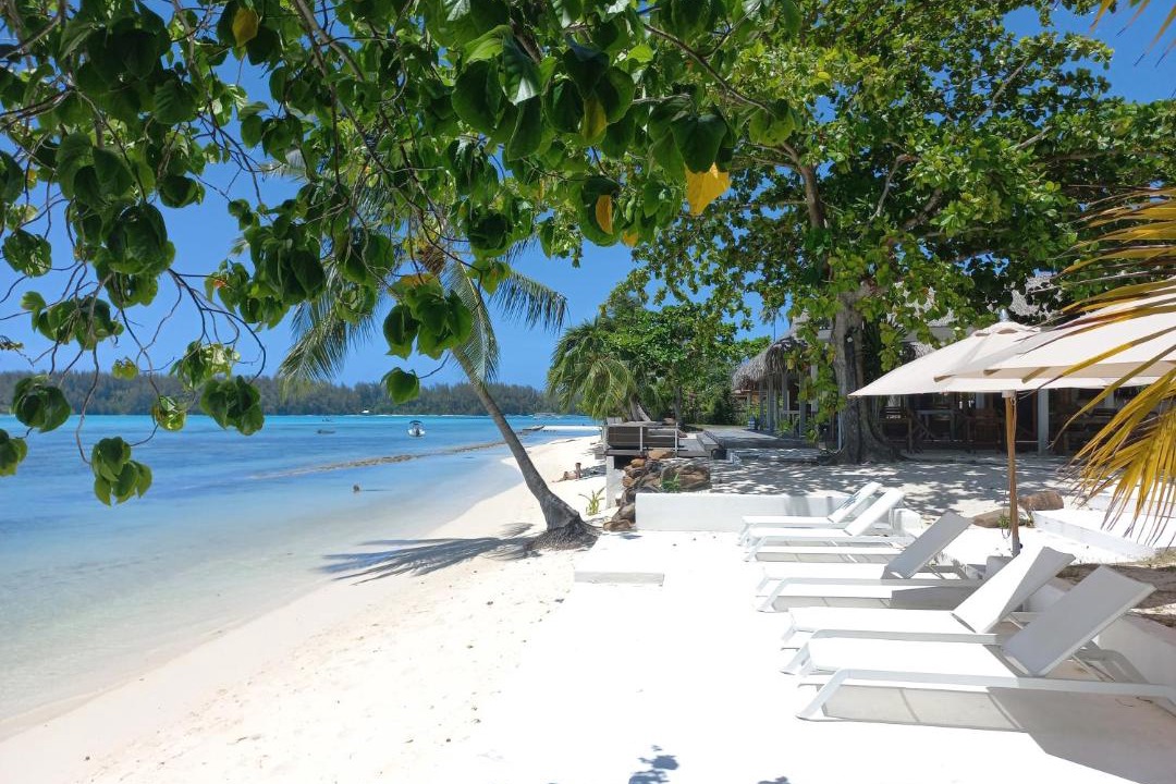 Photo of Others in Moorea-Maiao