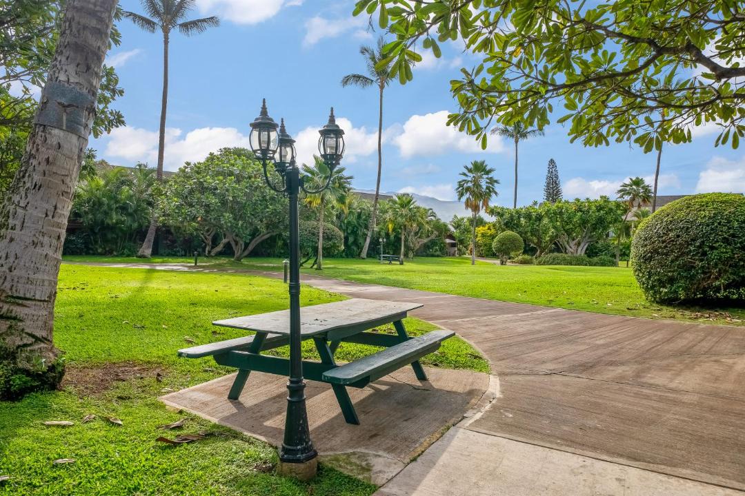 Photo of Others in Kihei
