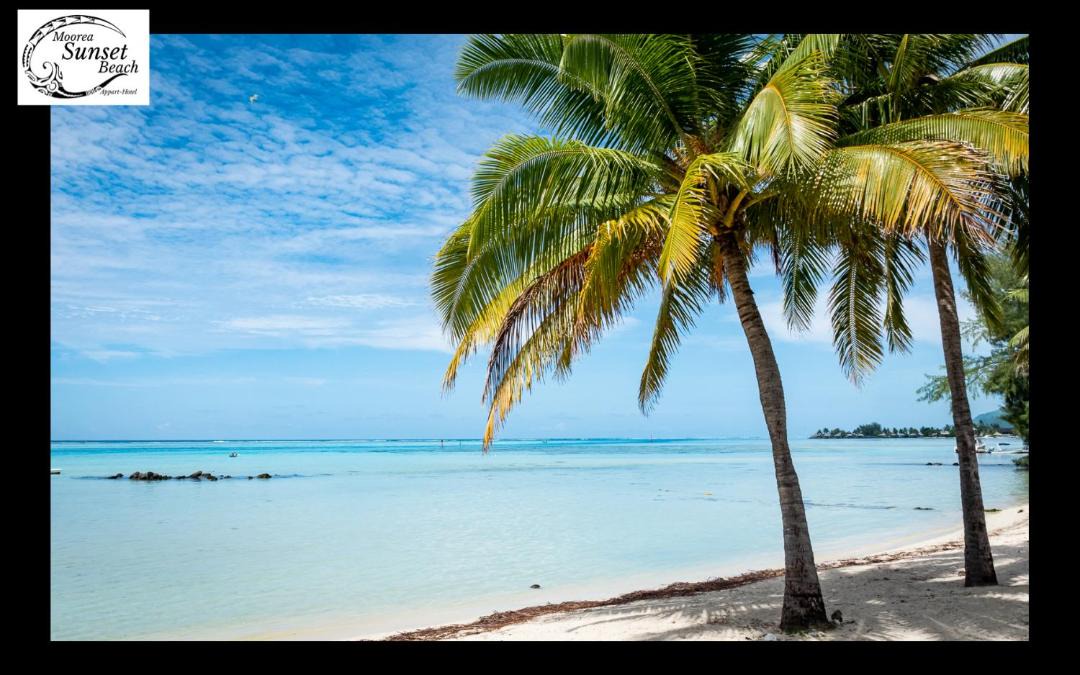 Photo of Others in Moorea-Maiao
