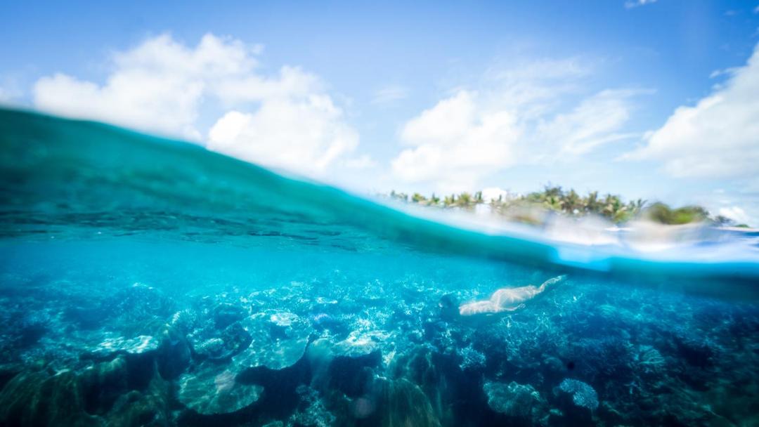 Photo of Others in Naukacuvu Island
