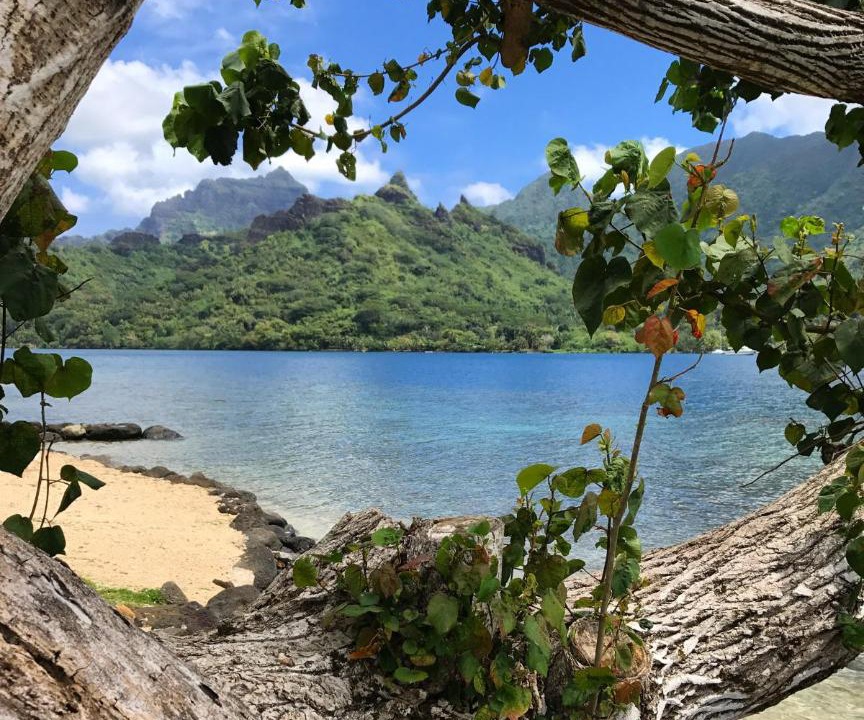 Photo of Others in Pihaena