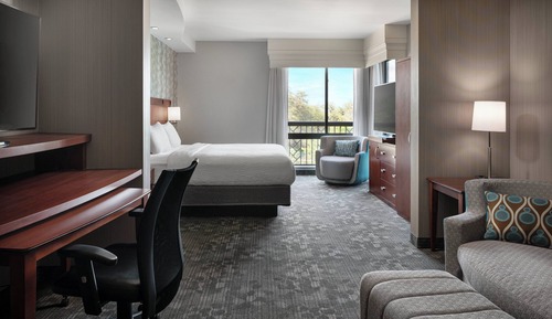 Junior Room, 1 King Bed with Sofa bed
