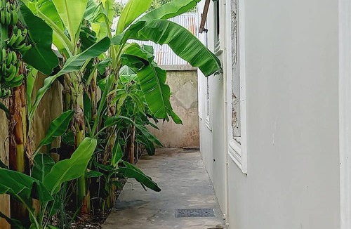 Jambiani House | Private Villa with pool at Jambiani - Zanzibar
