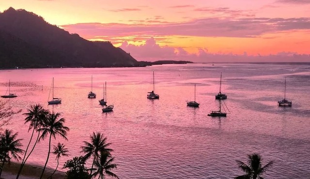 Tropical Retreat & Spa near Taahiamanu Beach